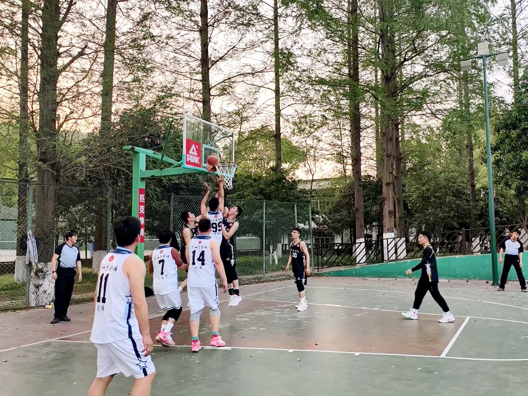 关于篮球明星公益活动走进校园，传播篮球文化的信息